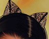 LEOPARD BADDIE BUNDLE