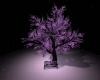 C] VIOLET TREE 