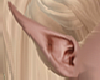 Elven Ears