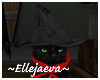 Halloween Witch Cat