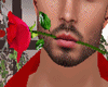 {R} Rose Mouth Abade