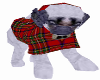 [SE]Scottish Pug