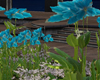 Blue Iris + Lilac bush