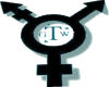 Gender TGWInc Portal