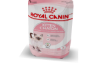 Kitty Food