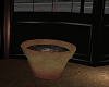 Clay Pot With Soil