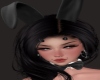 Bunny Set