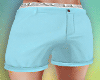 ♠Florida Beach Shorts