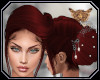 [ang]Angelfire Noir