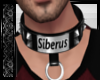 ☾. Sibs Custom Collar