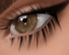 Coffee Brown Radical Eye