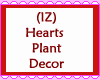 Hearts Plant Decor