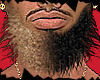 CUSTOM BEARD