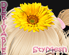 Flower Girl Sunflower 3