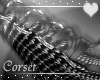 Corset ~Furry Tail