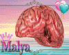 brain in head