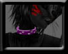 -F- Purple Collar/Paws F