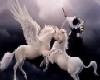 pegasus/unicorn