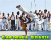 Bandeira-Capoeira-Brasil