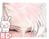 Ko ll Hair JoJo PW
