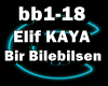 *C* Elif Kaya