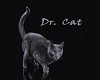 Dr Cat ID