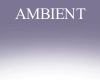 Ambient Photoroom Lilac