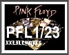pink floyd + guitar