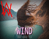 alan-walker-style-wind