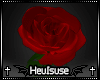 H. big Rose <3