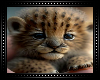 🐆 Baby Cheetah Cub BG