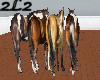 Horses  2D