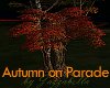 Animated Fall Tree