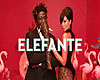 Nâ¥ NK - ELEFANTE