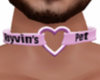 Rayvin's Pet Collar