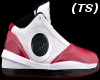 (TS) W R B 2010 Jordans