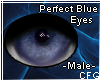 Perfect Blue Eyes