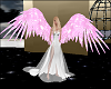Pink Female Wings