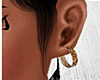 Bold Gold earings