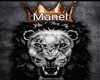 manel  lion