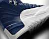 Indego 12's
