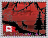 :A: Canada Moose Display