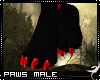 !F:Chaos: Paws M