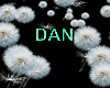 Dandelion Light