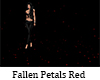 Fallen Petals Red