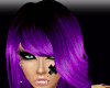 MK*Pavia*Purple