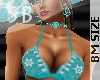 **SB RAFAELLA [BM]
