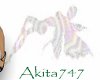 Akitas fairy shadow 2