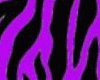 [BGD] zebrine purple rug