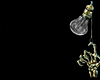 Z* Darkness Spike B. B/G